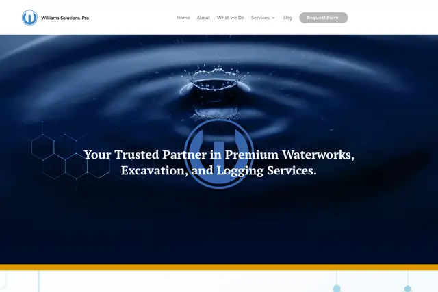 Williams Solutions website preview